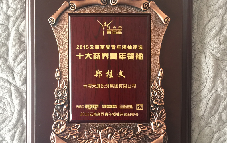 在“互聯網大時代”的背景下，天度作為本土很大和很有名的互聯網服務企業(yè)，為近萬家傳統(tǒng)企業(yè)轉型互聯網+提供了服務和幫助，獲此獎項后，我們將再接再厲，創(chuàng)造更高的社會價值